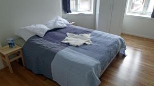 奥达巴克加塔蓝屋公寓的床上躺着一只白色动物