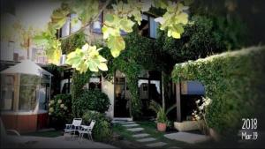 科洛尼亚-德尔萨克拉门托博萨达德尔安琪儿酒店 的两把白色椅子和前面的植物的房子