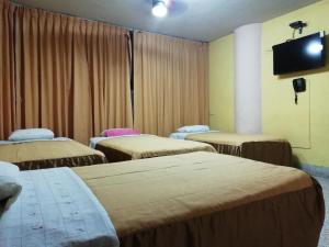 齐克拉约Hospedaje Oasis的客房设有四张床和平面电视。