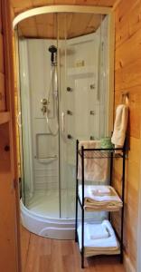 乔治湖English Brook Cottages的带淋浴的浴室(带玻璃淋浴间)