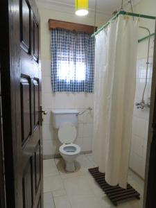 金贾Bikeventures House Uganda的一间带卫生间和淋浴帘的浴室