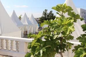 Ghdar DeflaTanger Med Hotel, Conference & Catering的一排白色圆顶前的树