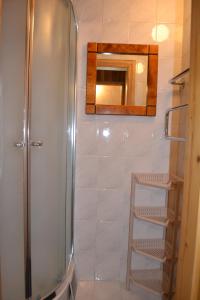 奈达Kotedžas prie pušelių的浴室里设有镜子和梯子,淋浴