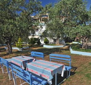 斯卡拉索提罗斯Panagiotis Hotel的公园里两把蓝色的桌子和椅子,树丛中