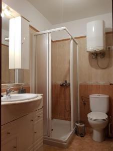 洛斯·亚诺斯·德·阿里丹Apartamento Hill Valley的带淋浴、卫生间和盥洗盆的浴室