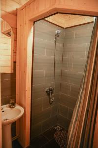 切尔诺莫斯克Rybatska 7的带淋浴和盥洗盆的浴室