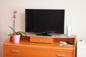 韦列Casa Vacanze Maralesi的植物梳妆台上方的电视