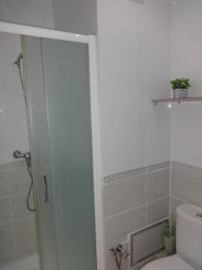 El Aouina帕尔玛莱斯公寓的一间带卫生间、淋浴和卫生间的浴室