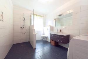 德布里阿赫Haus am See的浴室配有卫生间、盥洗盆和淋浴。