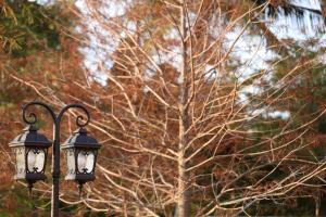 吉安思森活田园民宿的两盏路灯,后面有棵树