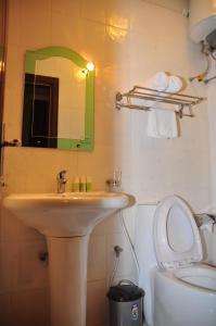 亚的斯亚贝巴半边莲酒店的一间带水槽、卫生间和镜子的浴室