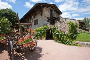 马孔Logis Hôtel Restaurant La Vieille Ferme, Mâcon Nord的石头房子,前面有花板