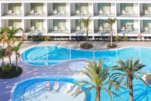 帕尔马海滩BG Caballero的享有棕榈树和游泳池的酒店顶部景色