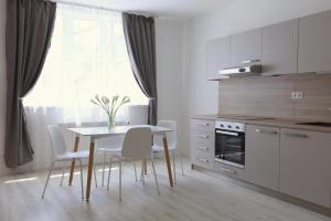 布拉迪斯拉发City Center Best Place Apartments的厨房配有桌椅和窗户。