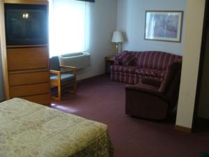 Doniphan美国旅馆的一间配备有沙发及电视的酒店客房