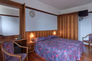 加尔达欧亚希公园酒店的一间卧室配有一张床、一张桌子和一把椅子