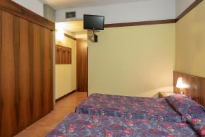 加尔达欧亚希公园酒店的卧室配有一张床,墙上配有电视。