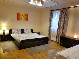 布达佩斯Palma Villa in City Park Budapest - semi suteren的一间卧室设有两张床和窗户。