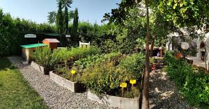 CrispianoMasseria Urbana的庭院里种着植物的花园