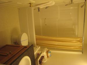 霍普贝斯特大陆汽车旅馆的一间带卫生间和大镜子的浴室