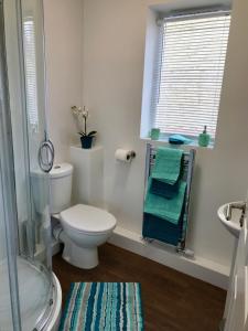 斯特劳德Upper Highview - Self Catering Apartment, fpventures Stroud的一间带卫生间和淋浴的浴室以及窗户。