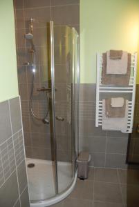 蒙特多尔E-Harz Ar Menez的带淋浴的浴室和玻璃门