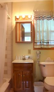 乔治湖Nordick's Inn的一间带水槽、卫生间和镜子的浴室