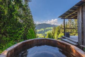 茨韦西门瑞德包瑞士高山小屋旅馆的山景热水浴池