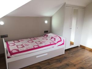 里瓦德奥Apartamento Apega的小卧室配有一张带粉色毯子的床