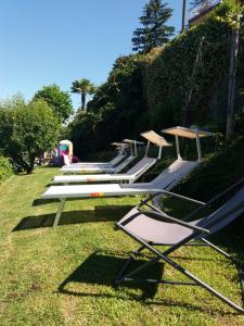阿米诺艾尔伯格蒙特罗莎餐厅酒店的坐在草地上的一排躺椅