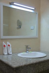 MigieHaile Resort Arbaminch的浴室的柜台设有水槽和镜子