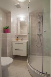 茨雷斯Honey Art Apartment的带淋浴、卫生间和盥洗盆的浴室
