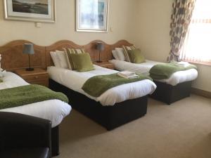 利物浦Woodlands Guest House的酒店客房,配有3张带绿色枕头的床