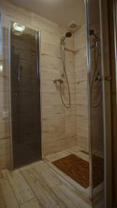 米泽德沃兹Gryf-Balt Domki drewniane的浴室里设有玻璃门淋浴