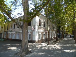 尼古拉耶夫Na Admirala Makarova的前面有棵树的白色建筑