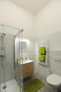 德布勒森M37 Apartman的带淋浴、卫生间和盥洗盆的浴室