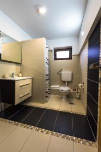 科雷尼察Guest House Vana的一间带卫生间和水槽的浴室