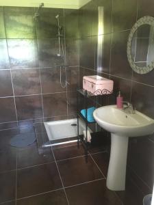 圣艾尼昂马蒂尼娜魔方旅馆的一间带水槽和淋浴的浴室