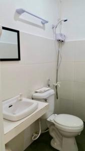 邦劳绿色原野旅游宾馆的一间带卫生间和水槽的浴室