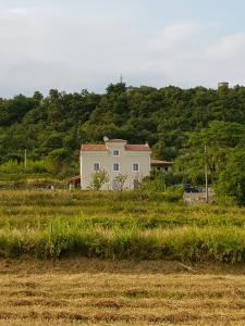 塞科夫列Vila Flora的田野中间的白色房子