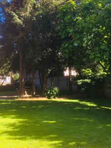 莱瑟佩瑟La Maison du Parc的一片绿草丛生,树丛背景