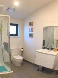 Acton ParkREBS住宿加早餐旅馆的浴室配有卫生间、盥洗盆和淋浴。