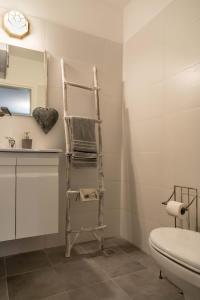 特拉维夫Inspirational Apartment的浴室设有卫生间旁的毛巾梯