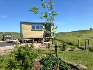 贝灵汉姆Lizzie off grid Shepherds Hut The Buteland Stop的路边的小房子