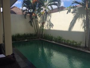克罗柏坎罗布别墅的棕榈树屋前的游泳池