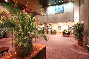 金泽金泽国际酒店的图书馆里种有植物的大堂