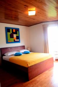 努沃勒埃利耶Villa Spring Acre的一间卧室配有一张带黄色床单和蓝色枕头的床。