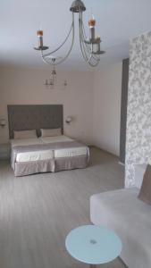 普里莫尔斯科Guest House Adriya的一间卧室配有一张床、一张沙发和一个吊灯。