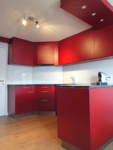 OberibergHüslermatte 1的一间带红色橱柜和水槽的厨房