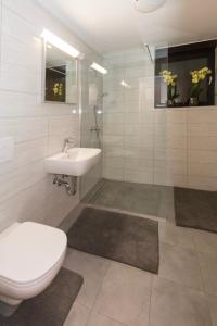拉多夫吉卡Apartma Spaans的一间带卫生间和水槽的浴室